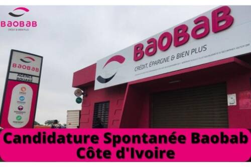 Candidature Spontanée Baobab Côte d Ivoire Comment envoyer