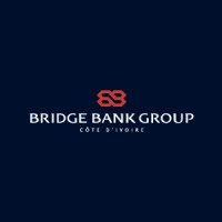 Bridge Bank Group CI recrute Appui Commercial.
