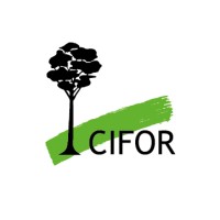 CIFOR Cameroun recrute un consultant