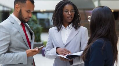 insertion professionnelle